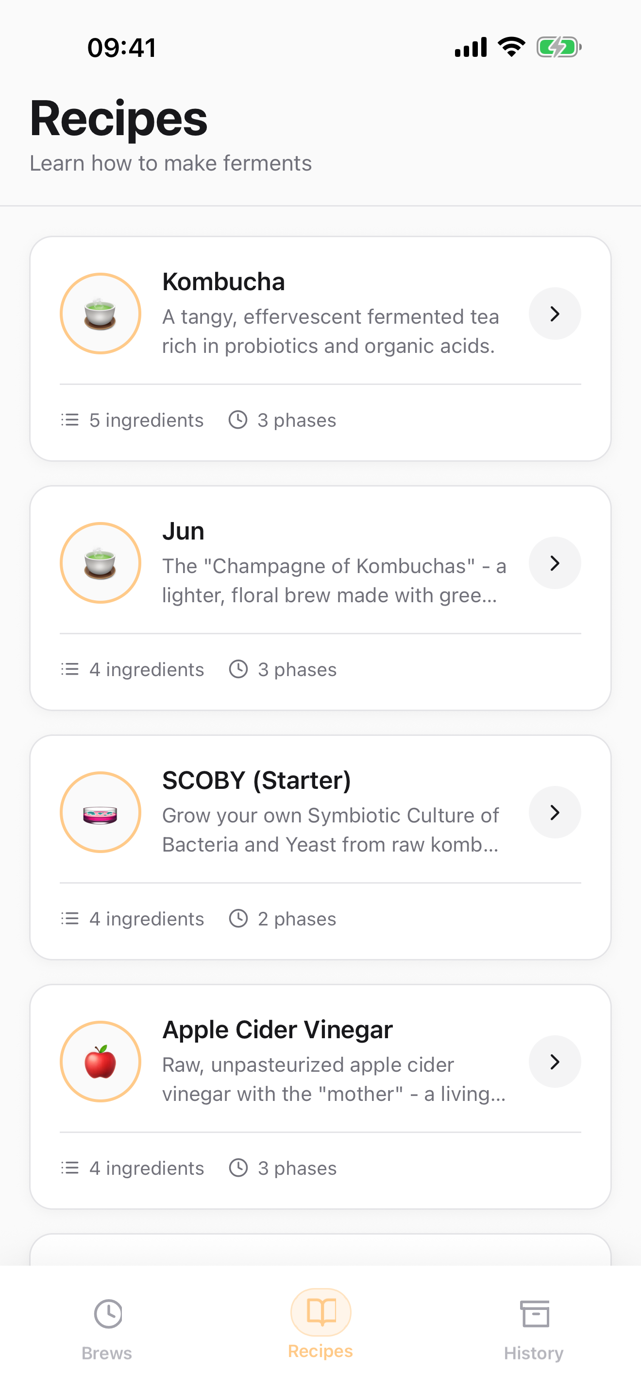 Fermento Recipes
